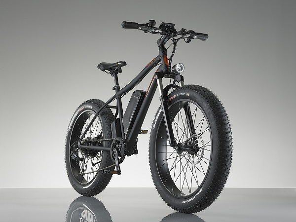 RadRover Electric Fatbike