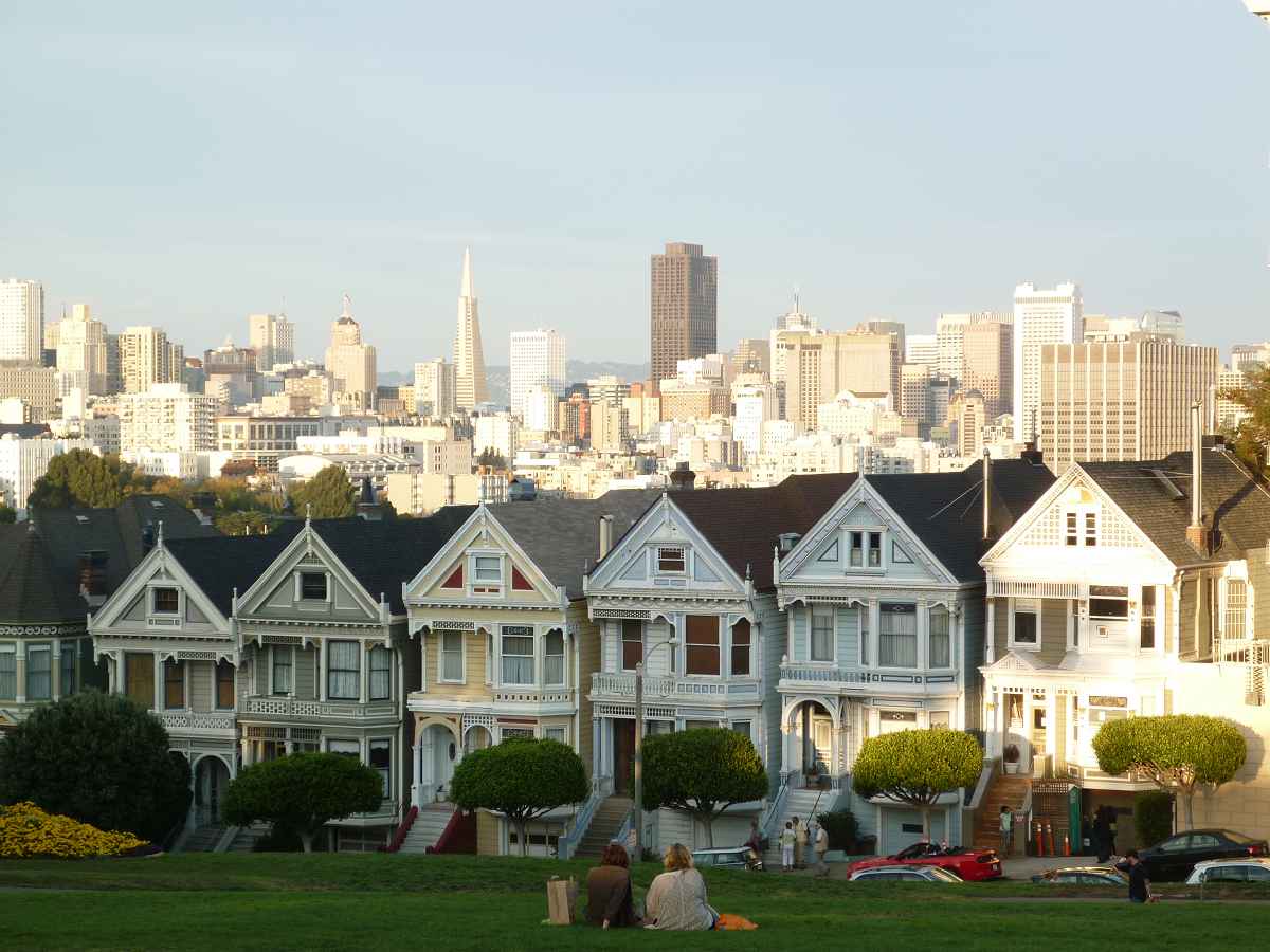 Painted Ladies